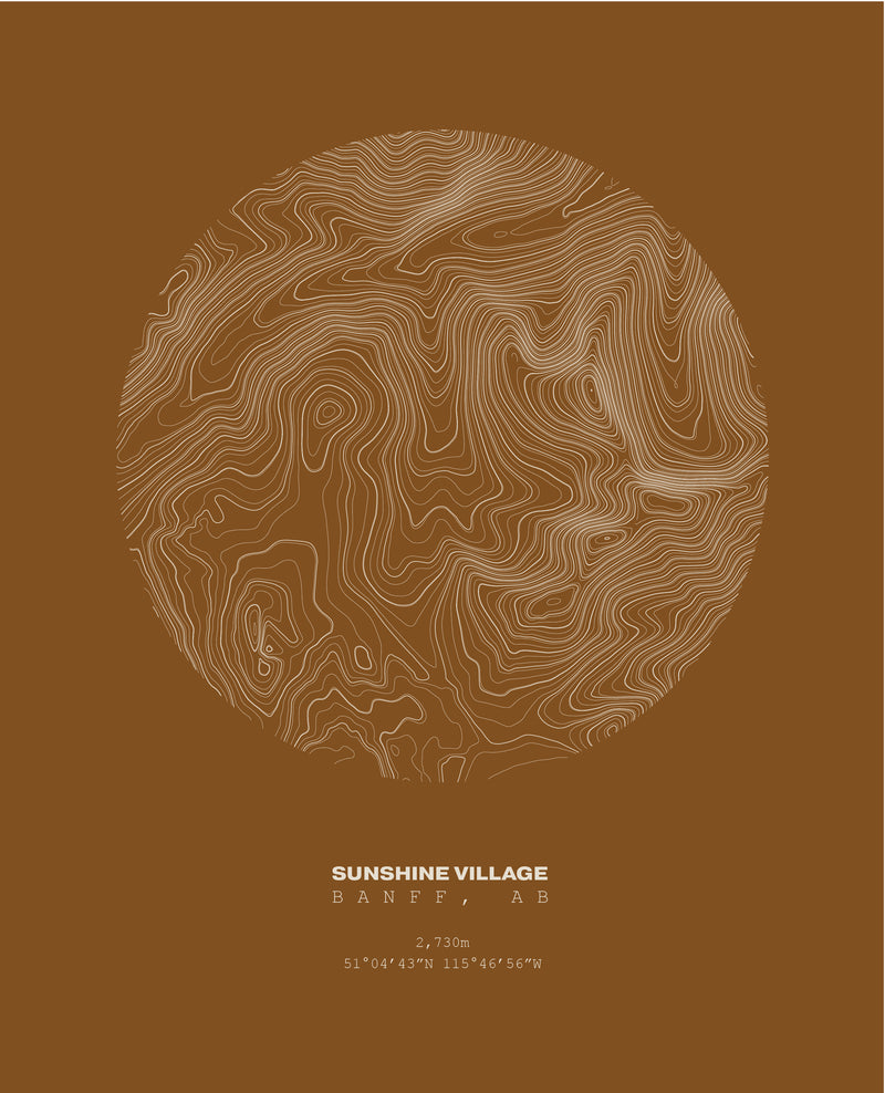 Sunshine Topographical Print in Brown 12x16
