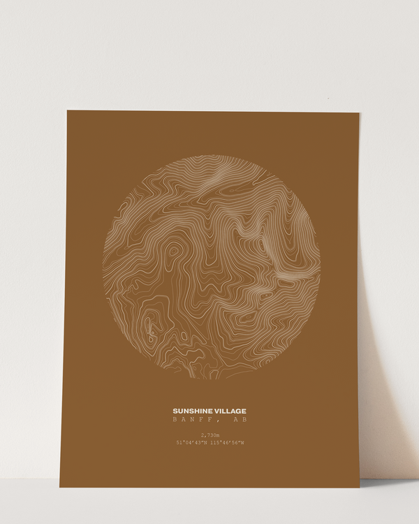 Sunshine Topographical Print in Brown 8x10