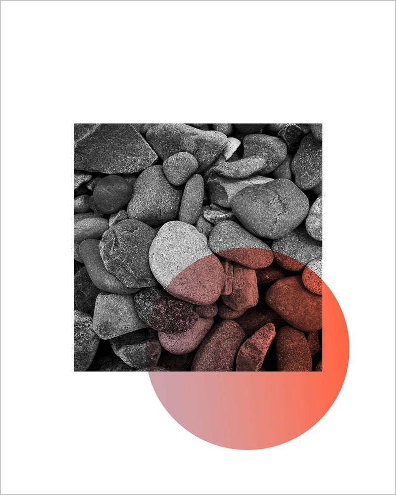 'Now To Living' #7 8x10