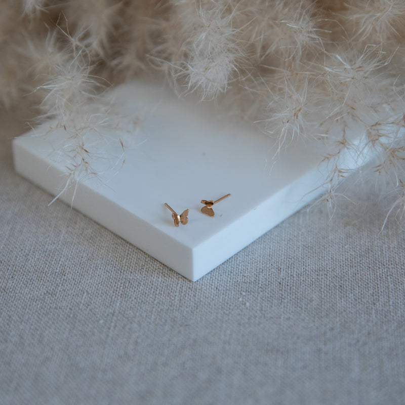 Butterfly Studs 14k Gold Fill